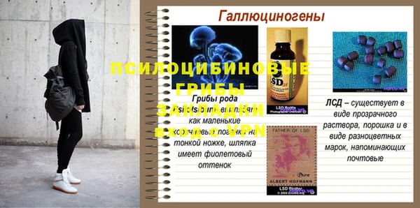 PSILOCYBIN Абаза