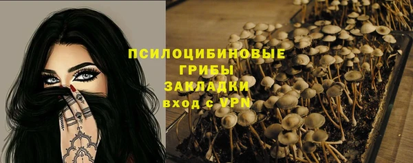 PSILOCYBIN Абаза