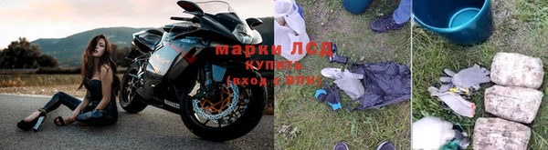 PSILOCYBIN Абаза