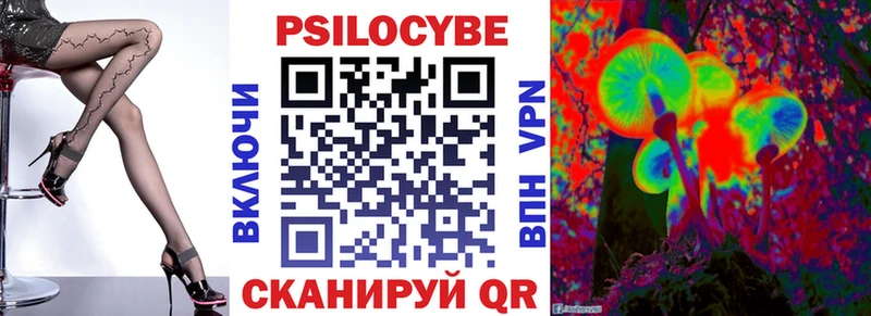 Галлюциногенные грибы Psilocybine cubensis  Знаменск 